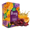 Herbata IRVING hibiskus i pomarańcza 20 torebek
